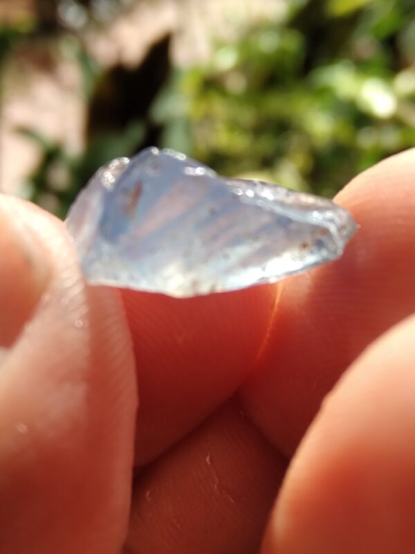 නිල් ෆැන්සි Sapphire